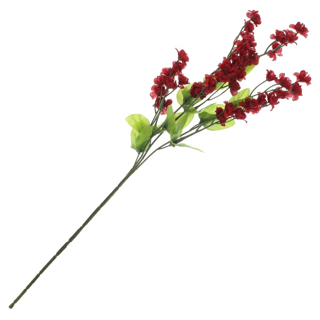 MP017621_1.jpg img